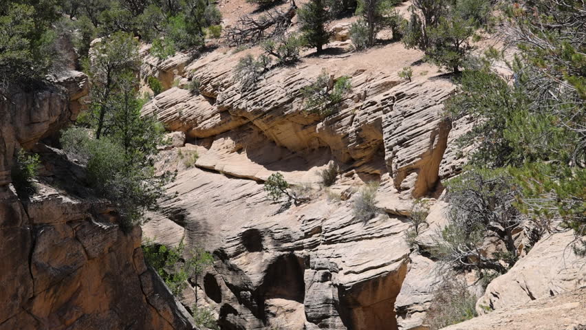 Utah desert rocky mountain wilderness nature. Southern Utah recreation hiking and exploring. Grand Staircase Escalante National Monument, Willis Creek slot canyon. Remote wilderness area.
