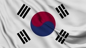 South Korea flag animation for background in 4k. Happy independence day national flag waving. Patriotism symbol. Flag motion graphics. Flag moving