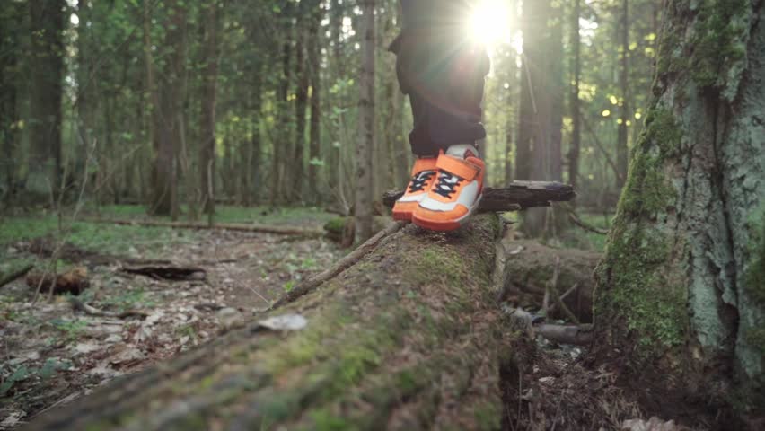 baby boy playing in the forest park. close-up child feet walking on a fallen tree log. happy family kid dream concept. a child in sneakers walks on a fallen tree in lifestyle park Royalty-Free Stock Footage #1108747881