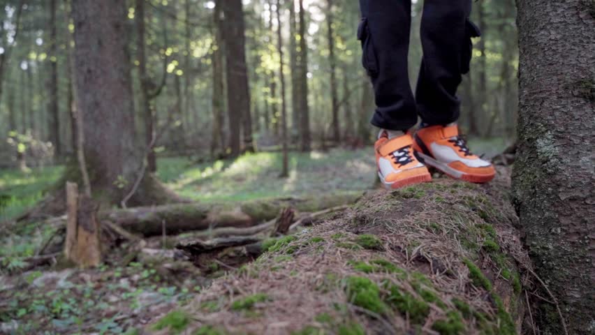 baby boy playing in the forest park. close-up child feet walking on a fallen tree log. happy family kid dream concept. a child in sneakers walks on a fallen tree in lifestyle park Royalty-Free Stock Footage #1108747883