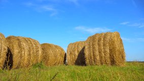 Round bales of hay in the field. Straw on the meadow. Beautiful landscape. 4k video.