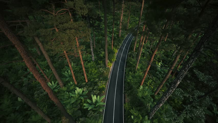 Aerial view flying over road with car moving, that through lane green forest.  | Shutterstock HD Video #1108752421