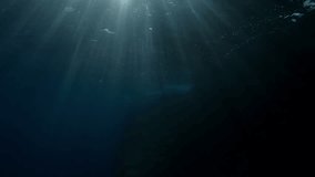 POV underwater shot, man swims underwater in bright rays of sun. Slow motion, First person video, Close-up of guy paddling with his hands underwater in Mediterranean sea