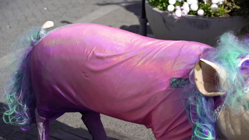 Statue of a pig dressed in a carnival costume of a unicorn.