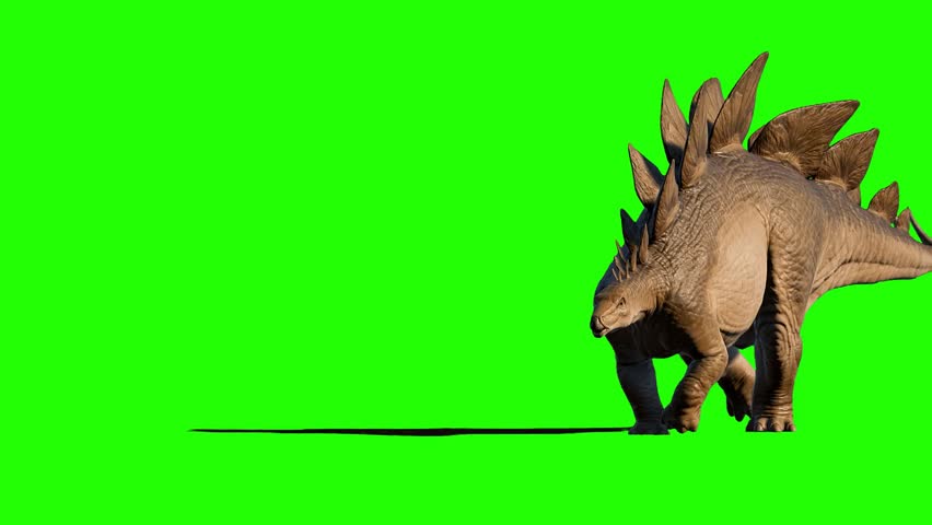 Dinosaur on Green Screen - Stegosaurus 