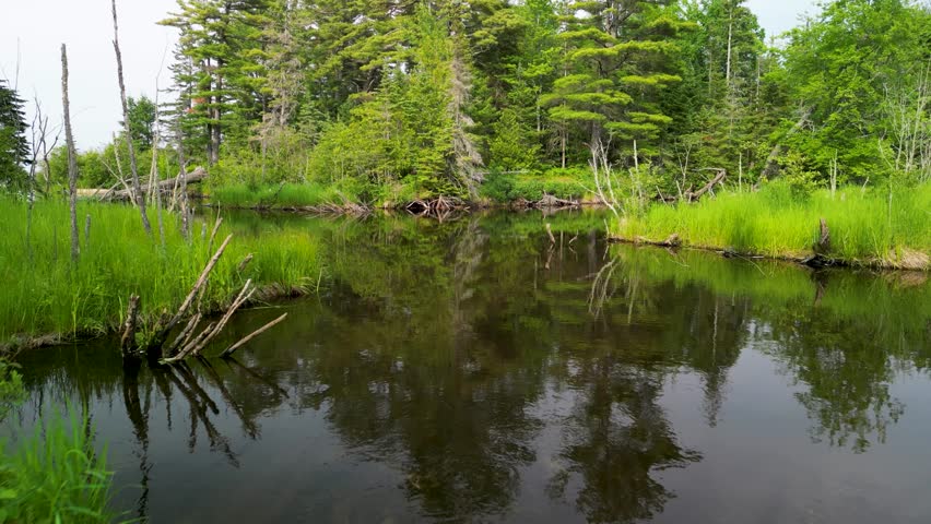 Aerial pan and low flyover small forested lake, Lake Superior, Michigan