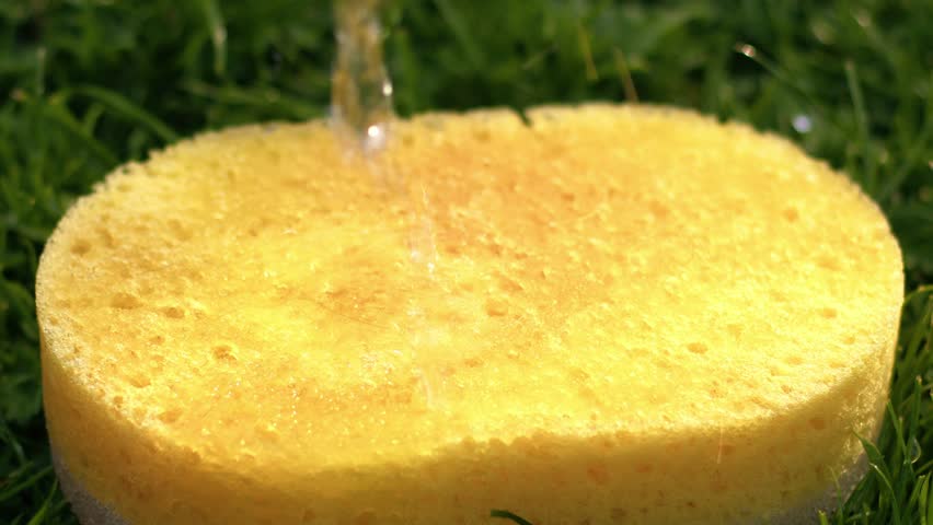 Sponge soaking up water close up slow motion shot selective focus | Shutterstock HD Video #1108782717