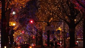 OSAKA, JAPAN - DEC 2021 : View of Christmas illumination led light up at Midosuji street. Scenery of downtown city and street at night. Japanese romantic winter and Christmas season concept 4K video.