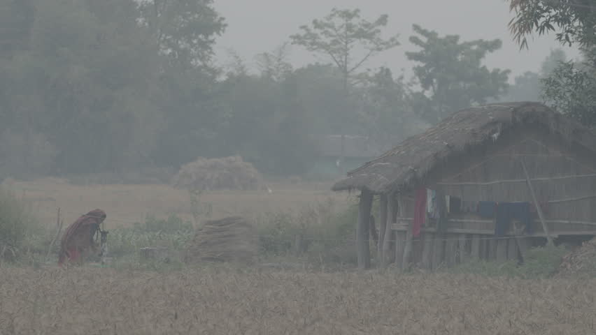 Woman and men are working in népal 