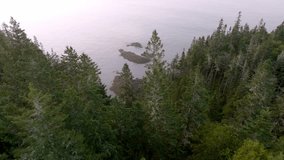 Gorgeous Aerial Descent Through Forest Reveals Maine's Rocky Shoreline