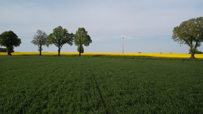 Autos Drive on Countryside Road Between Green Wheat and Yellow Blooming Rape Fields in Spring with a View of Wind Turbine Blades Rotating in Background - Slow Aerial low angle push in Royalty-Free Stock Footage #1108822129