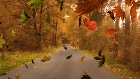 Animation of happy thanksgiving text banner and autumn leaves falling against road path in a park. Thanksgiving and fall season concept - Powered by Shutterstock - Get 15% off with code: PIKWIZARD15