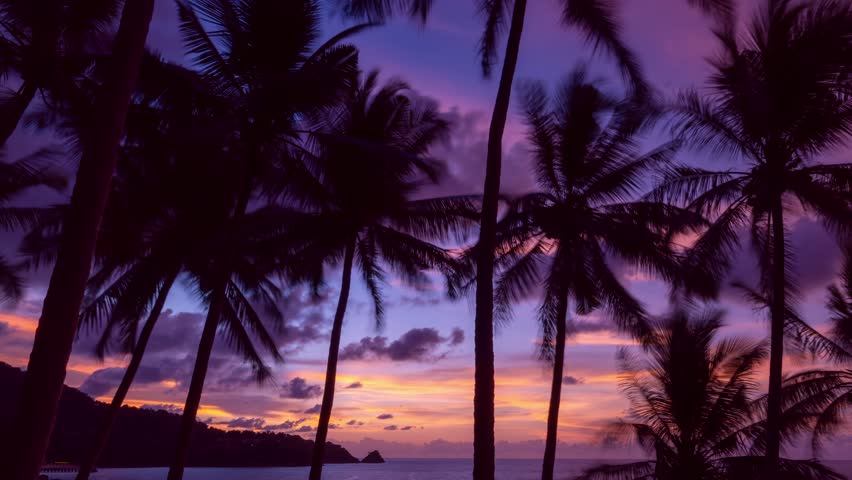 Timelapse Silhouette coconut palm trees in beautiful sunrise sky over sea,Amazing light nature colorful clouds landscape,Beautiful light nature sky and clouds seascape,Sky clouds background Royalty-Free Stock Footage #1108828925