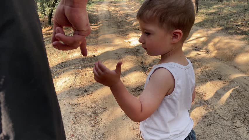 A baby gives his hand to his daddy and they walk down a forest path. Close-up. A gentle touch. A family walk in the woods. Happy childhood. Time with children. High quality FullHD footage