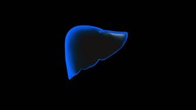Human rotating liver in black background, human organ, healthy, unhealthy