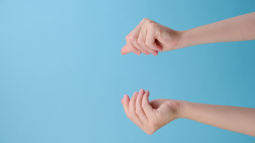 Shutterstock Video