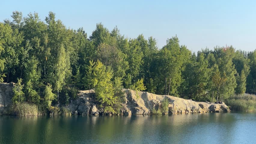 Trees By The Shore By The Water
