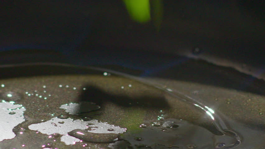Mixed vegetables and greens falling down in a frying pan with oil and fire during flambeing. Close-up no people shot