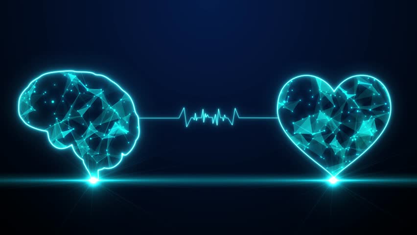 Heart And Brain Connected Animation Medical Background, Human Brain Connected With Heart Concept, Health And Medical Science Concept Futuristic Background. Human Mind And Heart Connect Each Other Conc