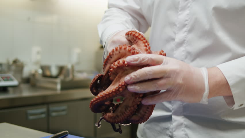 Chef cooking octopus, japanese cuisine, man cook seafood with boiling water, raw fresh fish for sushi sashimi, boiled steamed octopus, mediterranean restaurant, spanish kitchen.  | Shutterstock HD Video #1108858345