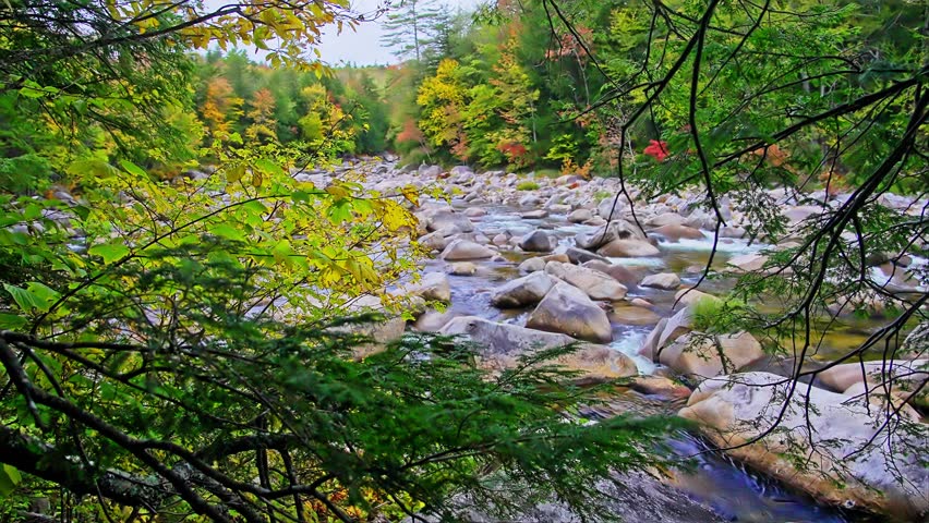 River And Forest With Autumn Colors in New Hampshire