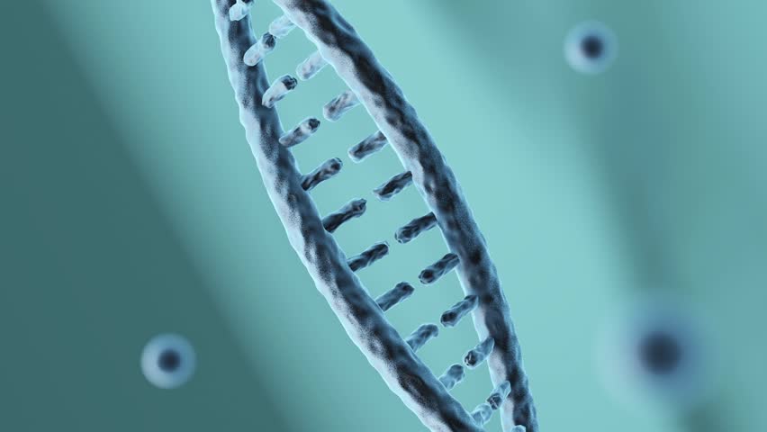 3D illustration. DNA structure. Medical science background. 60 frame rate | Shutterstock HD Video #1108876407