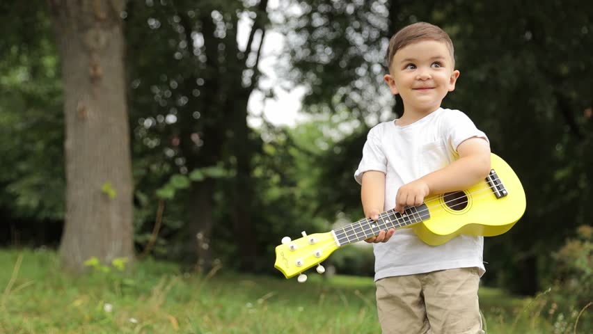 Handsome boy playing music in the park on the ukulele, the concept of musical reproduction.