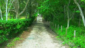 ummer People walking along a tree-lined avenue of fresh greenery - Powered by Shutterstock - Get 15% off with code: PIKWIZARD15