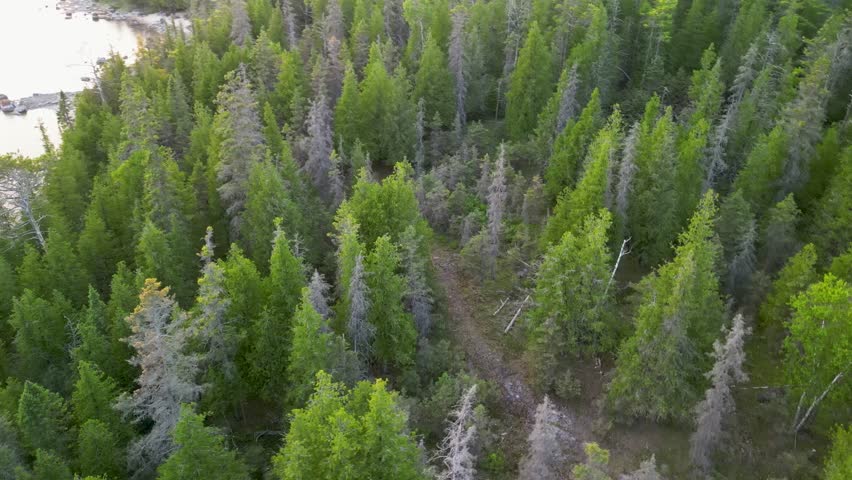 Aerial pan up to lake sunset over forest, Michigan