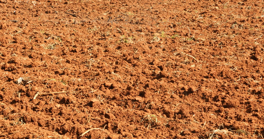 Dry Mud Texture in Fields | Shutterstock HD Video #1108907515