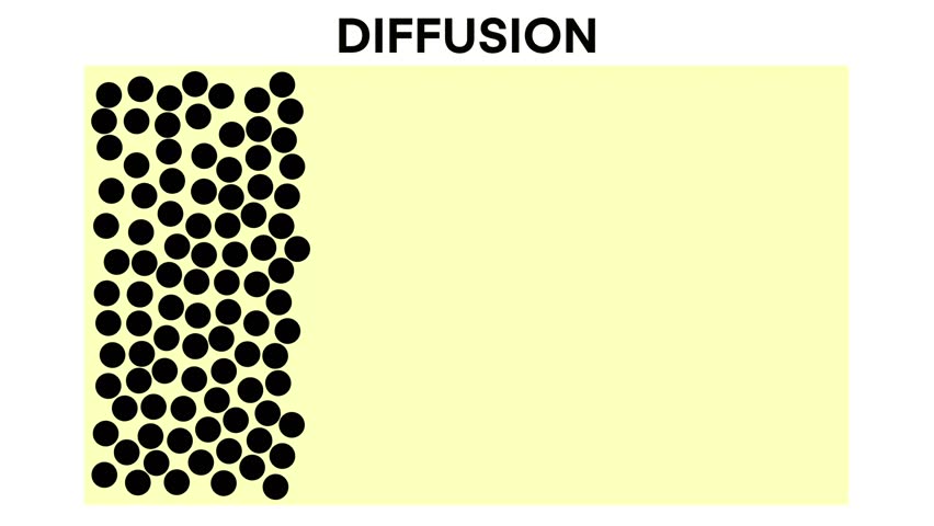 Diffusion, Movement of molecules, ions, and atoms from an area of higher or high concentration to an area of lower or low concentration, Labeled educational particles mixing scheme | Shutterstock HD Video #1108907681