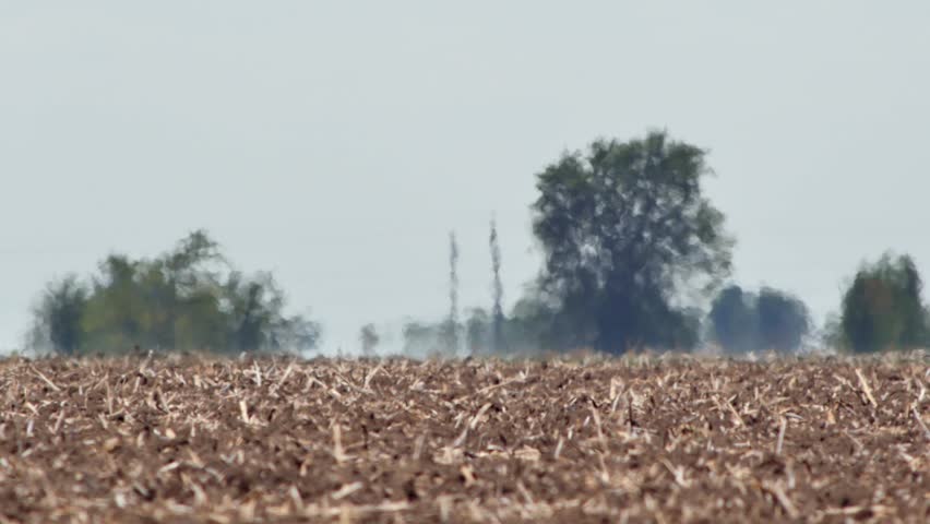 Mirage above plowed farmland in extreme heat. Soft focus due to heat and air shimmer. Green trees on horizon. Global warming and climate change concept video