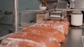 Bread on conveyor belt at factory close up. Fresh beauty bread on conveyor line on cut mechanism device