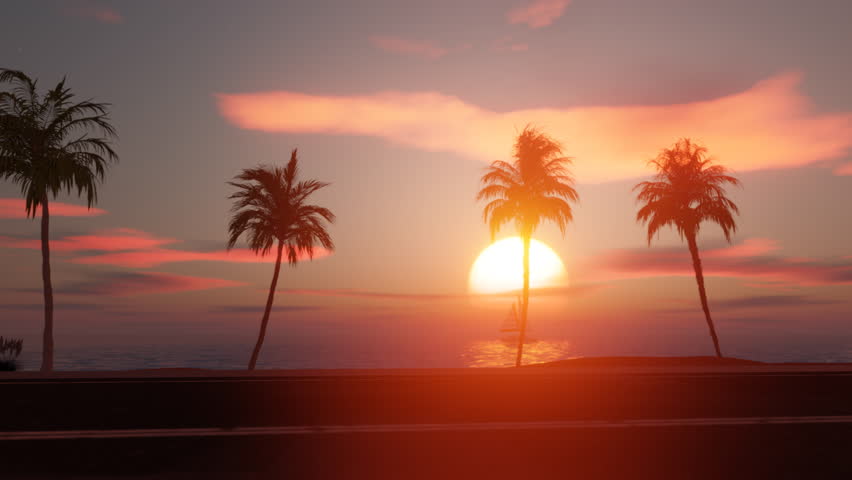 Moving along the ocean side of the road with coconut palm trees in sunset. Royalty-Free Stock Footage #1108931241