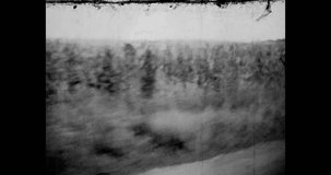 Corn field view from moving car. Agriculture corn harvest. Plants field landscape. Maize plantation growth. agricultural cornfield. 1960s archives. Vintage black white archival film. Retro archive