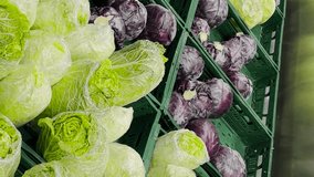 Different types of cabbage at the vegetable market. Vertical video