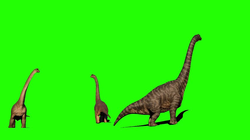 Brachiosaurus Dinosaur Green Screen - Chroma Key