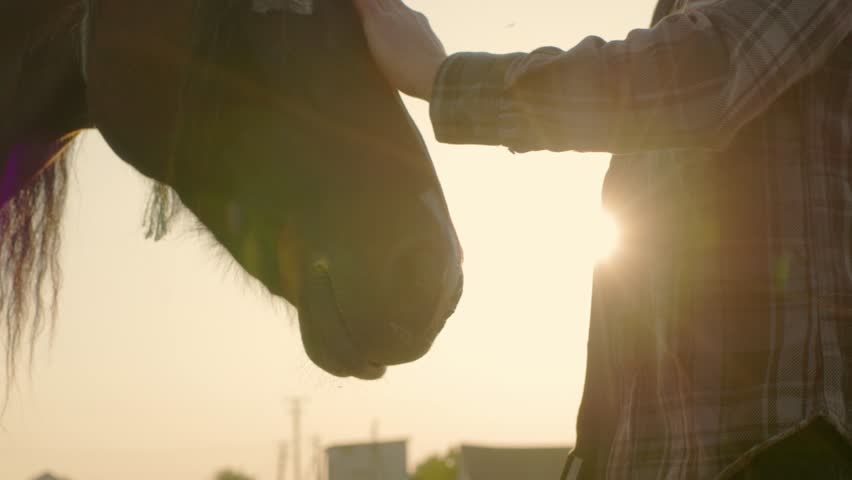 A man strokes a horse. A young bearded farmer takes care of horses.