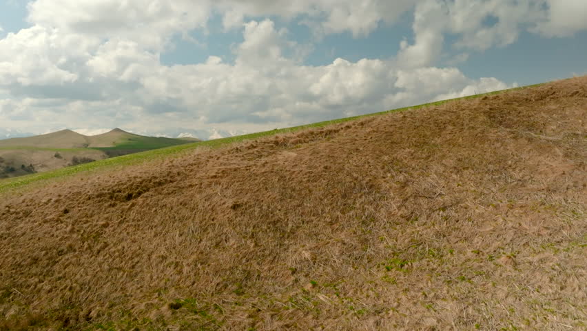 Hilly landscape with green grass and sparse trees. Shot. Top view of beautiful hilly valley with green grass and cloudy sky. Summer landscape of hilly valley with sparse trees and green grass