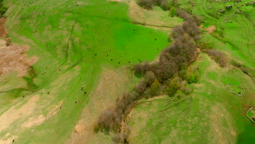 Top view of beautiful relief of slope with green grass. Shot. Green slope with relief of dried rivers on sunny summer day. Summer landscape with green grass and mountain slope with relief of dried