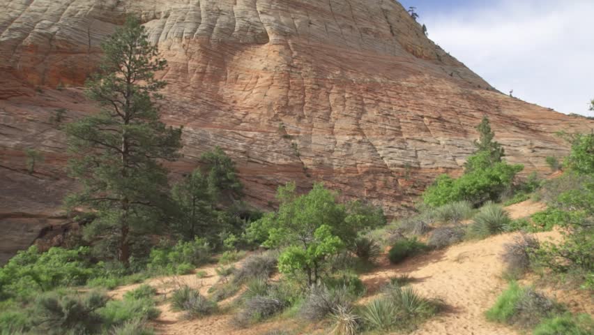 Checkerboard Mesa an Iconic Elevation Navajo Sandstone at Zion National Park in Southwest Utah USA