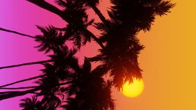 Movement along palm alley, bottom view of coconut palm trees in sunset. Vertical video. - Powered by Shutterstock - Get 15% off with code: PIKWIZARD15