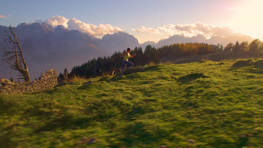 AERIAL: Woman jogging with her dog on top of alpine meadow hill in golden sunset. She and her cute doggo run fast along a grassy ridge with a stunning mountain backdrop on a picturesque autumn day. Royalty-Free Stock Footage #1108945473
