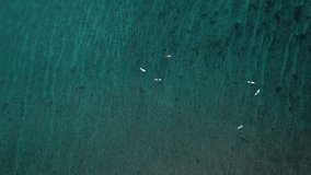 Drone point of view of big group os surfers in Indian Ocean. High quality 4k footage