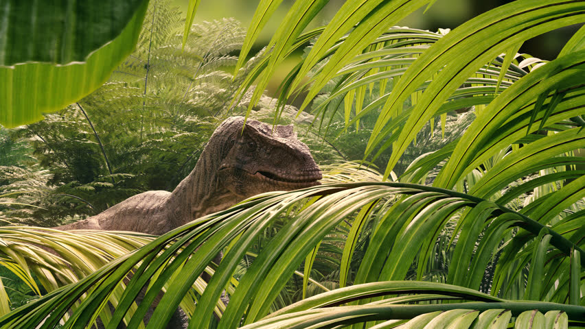 Velociraptor in the wild. 3d animation of a roaring velociraptor. 3d animation of a dinosaur in the jungle. cinematic of a dinosaur. an angry dinosaur | Shutterstock HD Video #1108953783