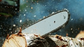 Super Slow Motion of a Chainsaw Cutting the Wooden Log. Filmed on High Speed Cinema Camera, 1000 fps. - Powered by Shutterstock - Get 15% off with code: PIKWIZARD15