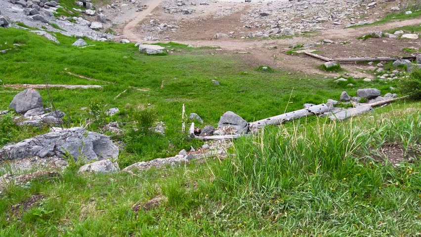 Panning upon Edith Lake along Maligne Road in Jasper National Park in Canada.