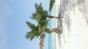 Paradise view of tropical sandy beach in Thailand. Vertical video.