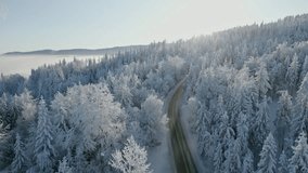 Sunrise over a scenic road through a winter fairytale mountain forest with snow-covered pine trees. - Powered by Shutterstock - Get 15% off with code: PIKWIZARD15