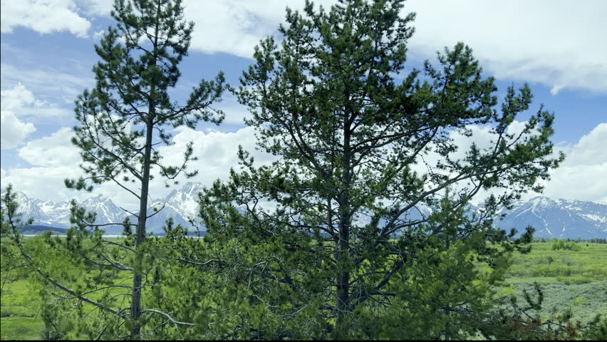 Driving through Grand Teton National Park near Jackson Hole, Wyoming on a beautiful sunny day.